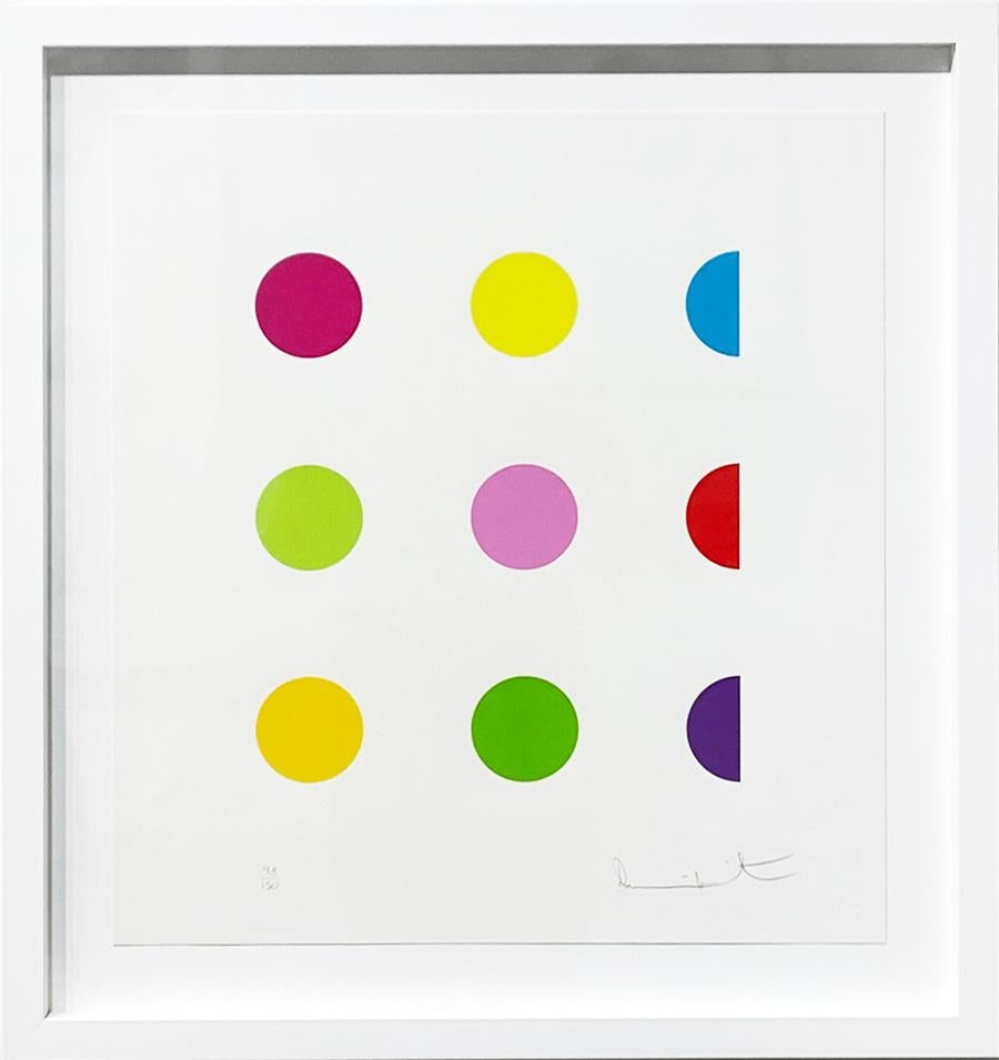 N-Methyl L-Aspartic Acid - Print by Damien Hirst