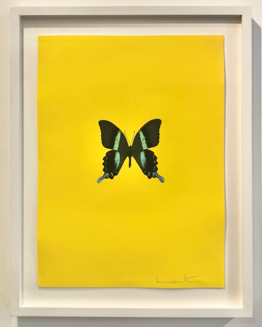 Damien Hirst Butterfly Wallpaper at 1stDibs | damien hirst wallpaper