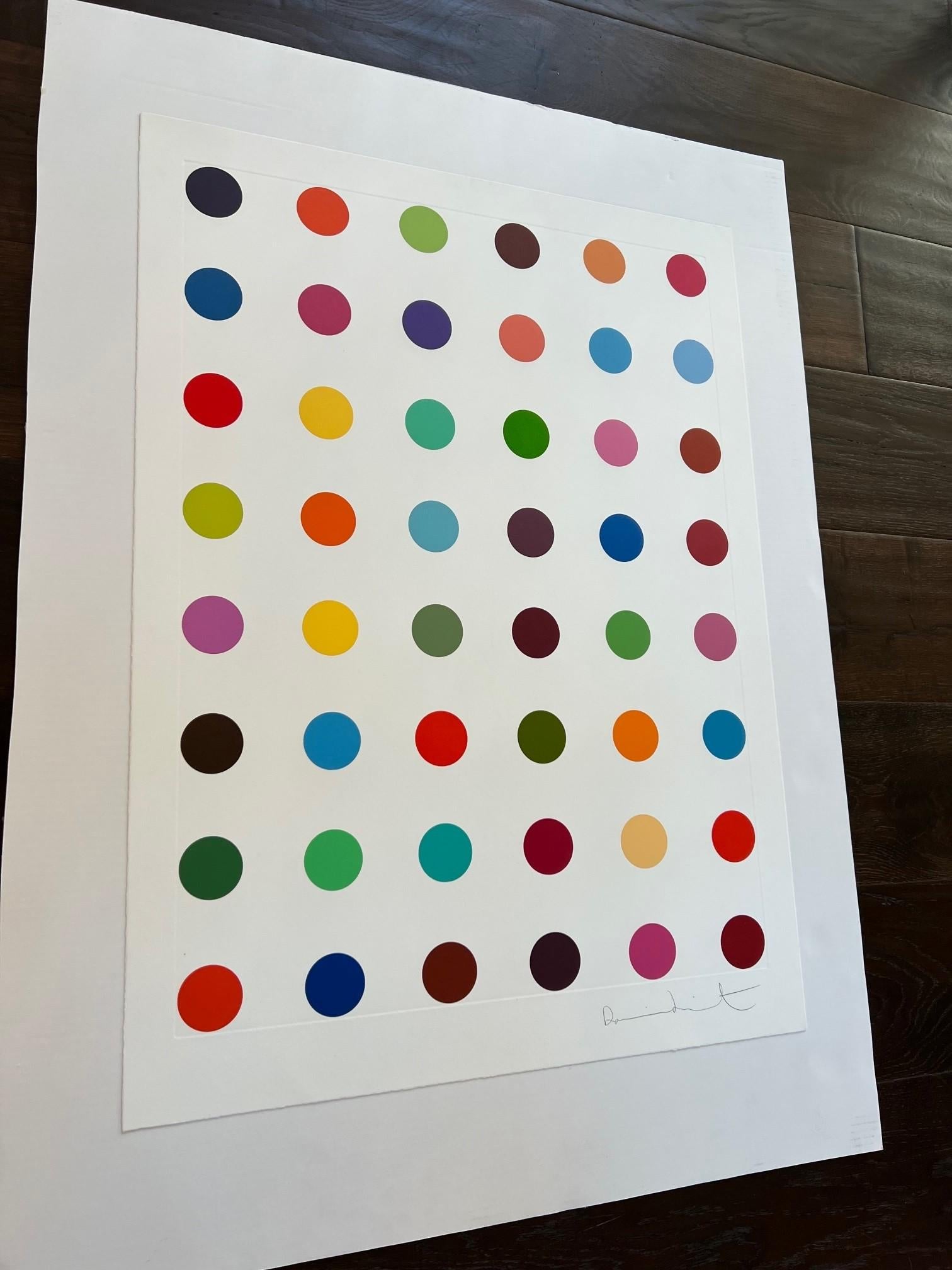 damien hirst print