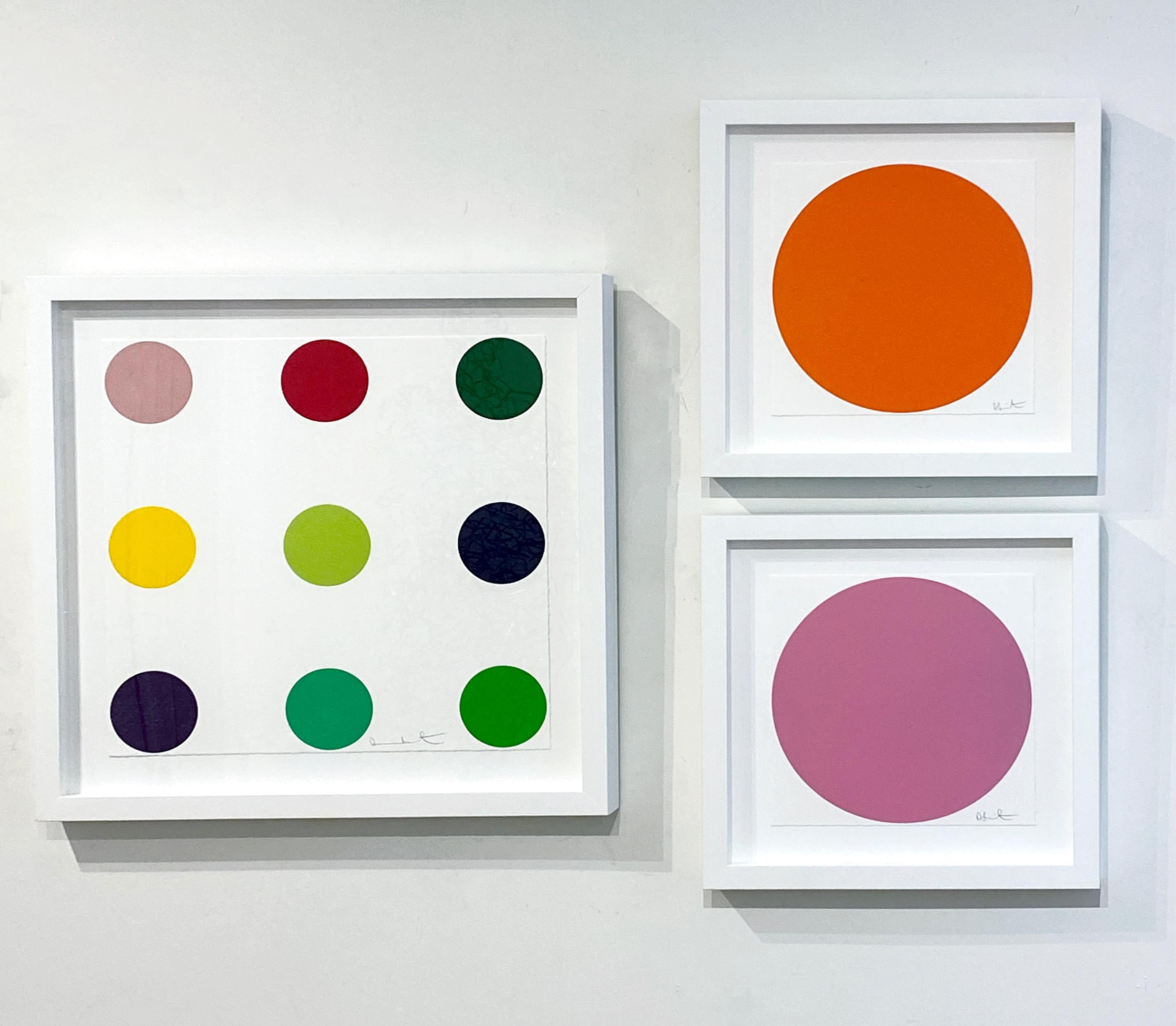 damien hirst curare