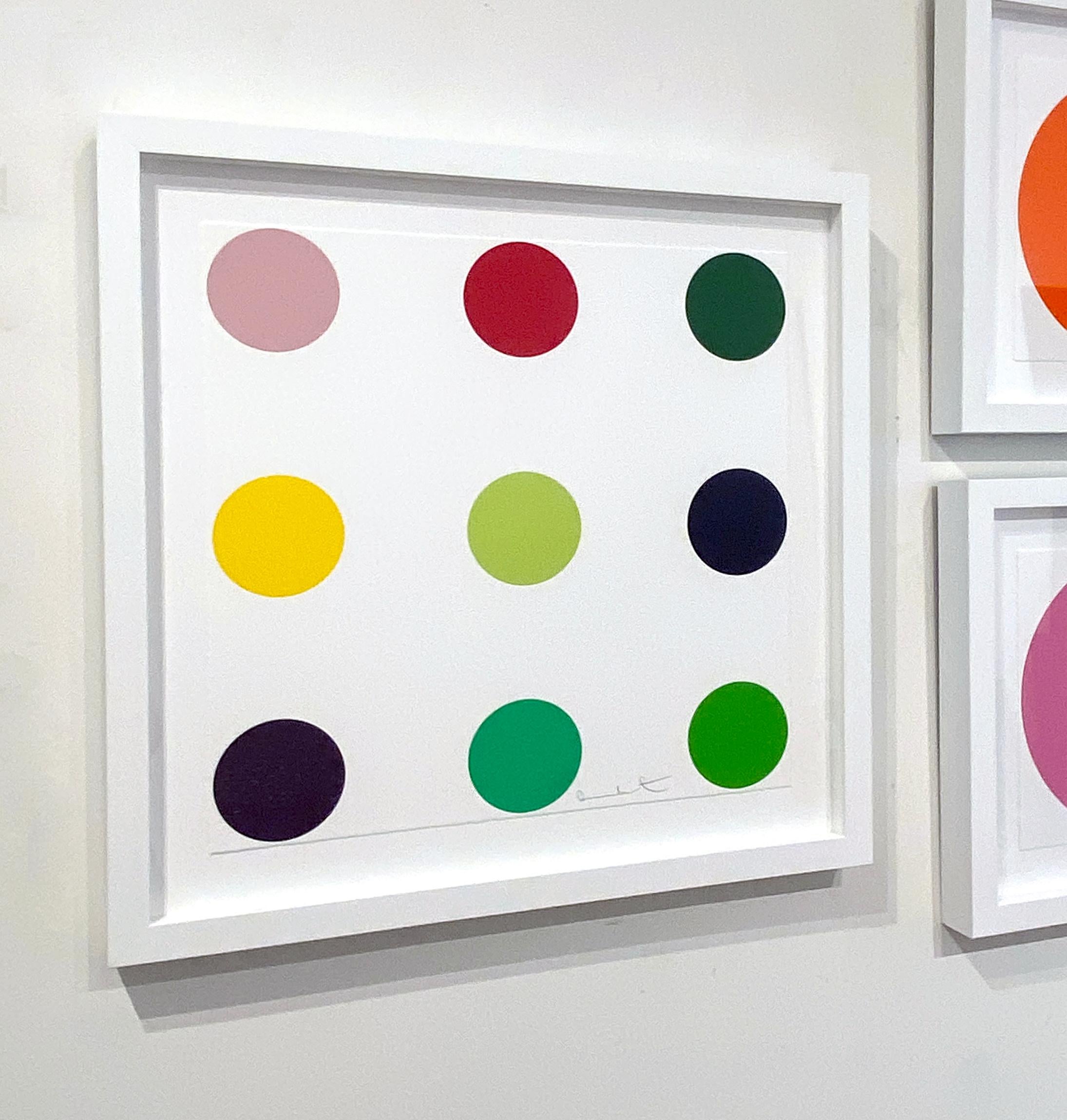 Phenformin - Young British Artists (YBA) Print by Damien Hirst