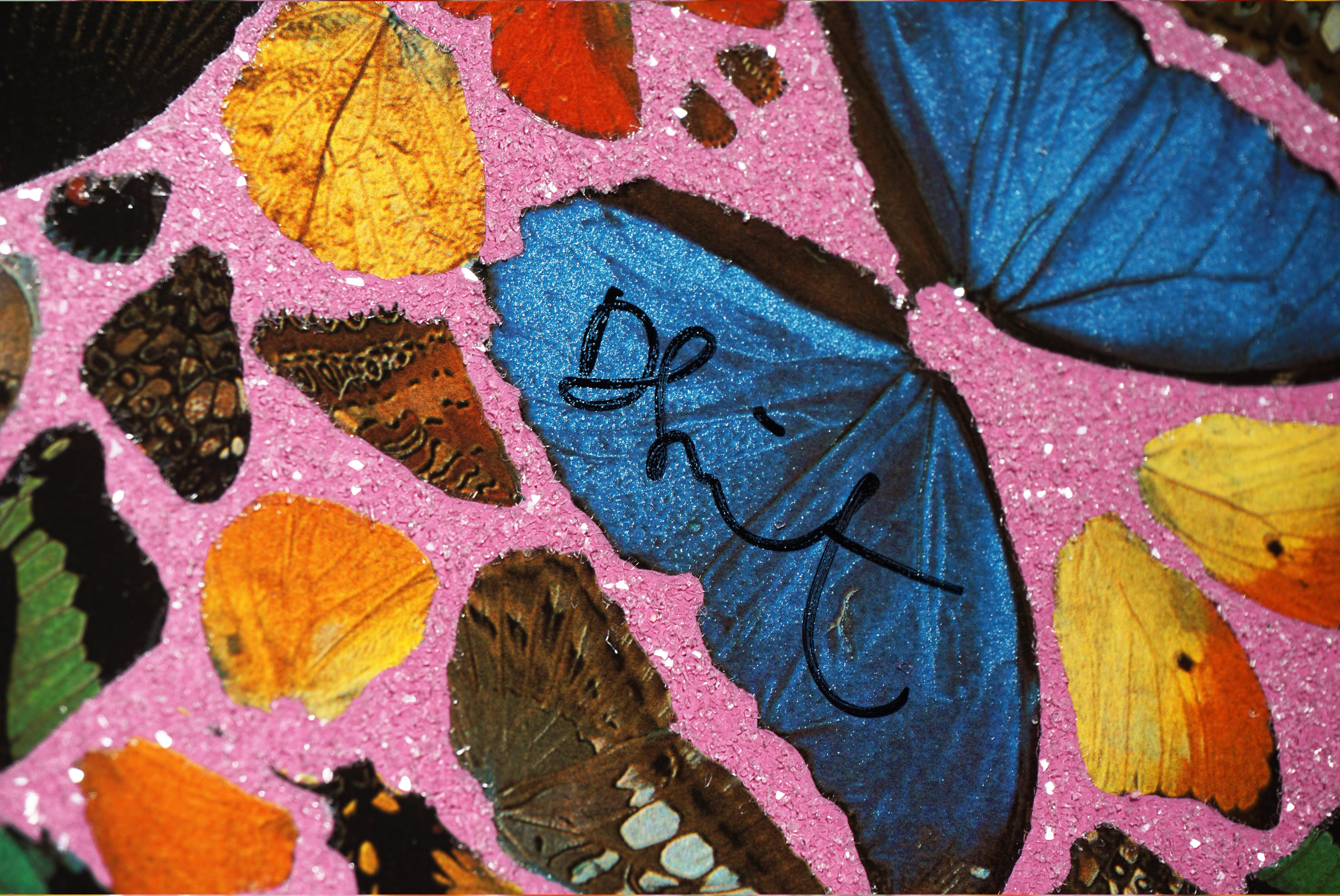 Pink Butterfly 'Cathedral Print, Palais des Papes' with Diamond Dust 3