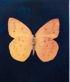 Prosperity By Damien HIrst