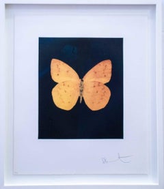 Prosperity By Damien HIrst