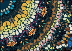 Psychadelic Abstract Print, Archival Ink, 2010+, Large 140x85 cm
