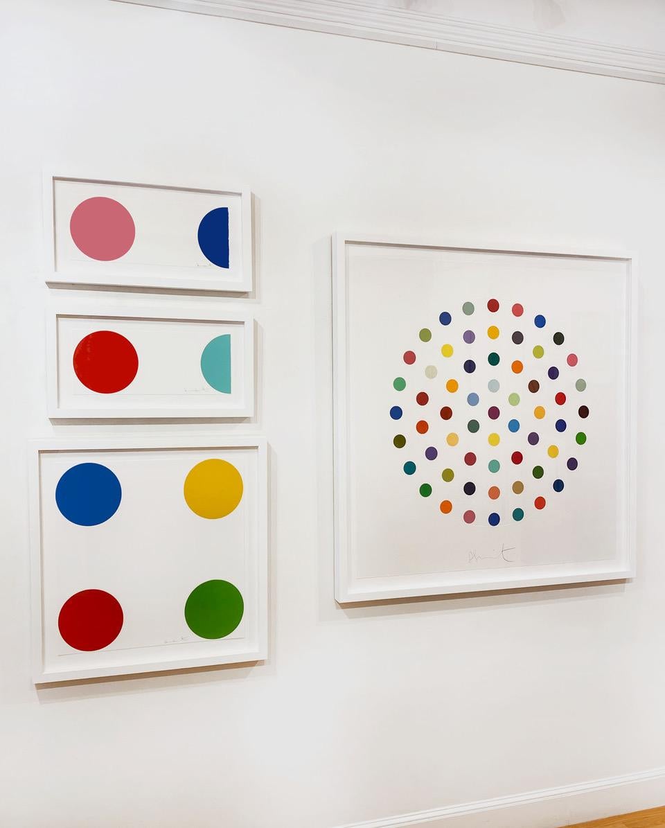 Quinizarin - Young British Artists (YBA) Print by Damien Hirst