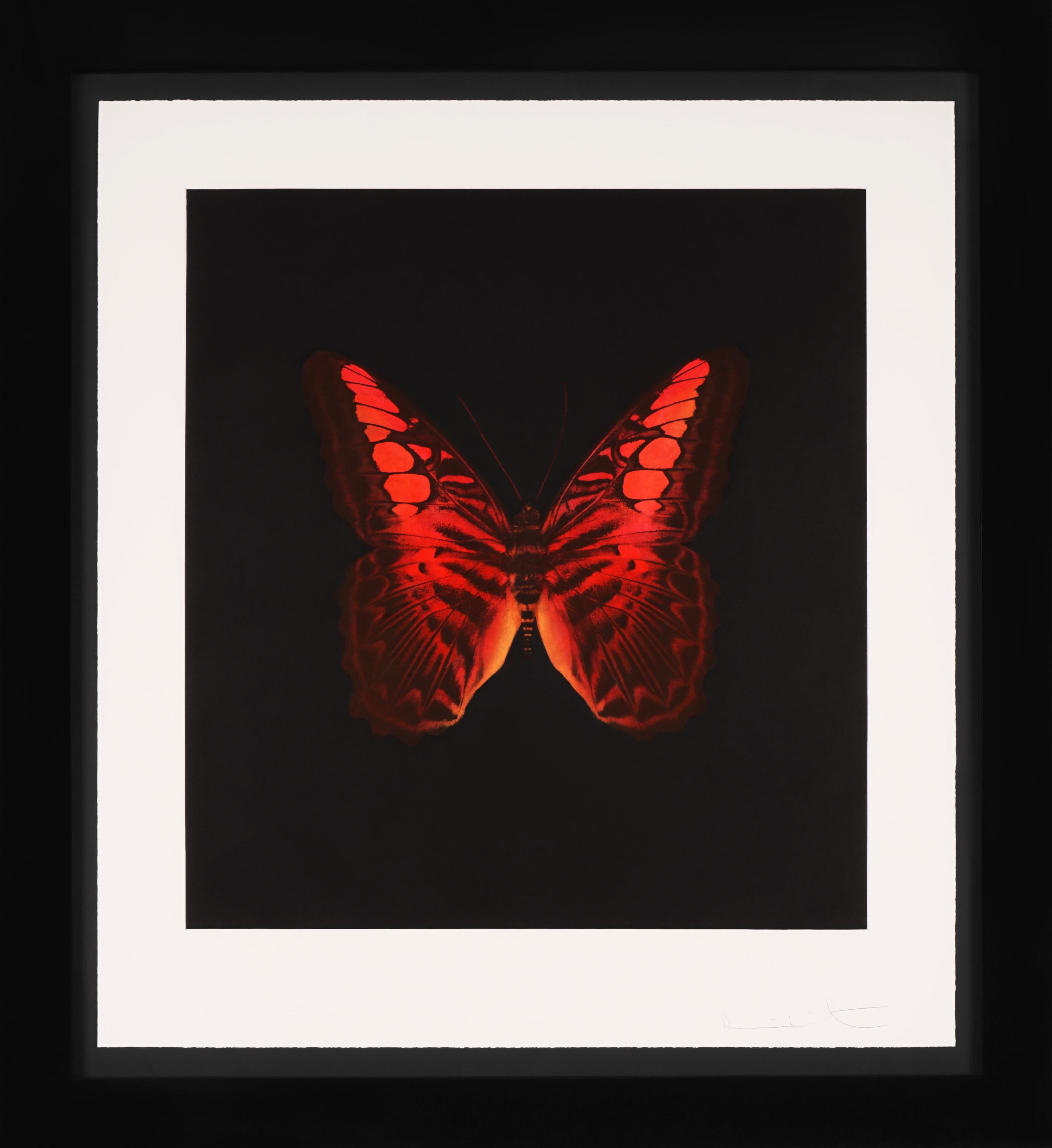 Damien Hirst Art 174 For Sale at 1stDibs art by damien hirst