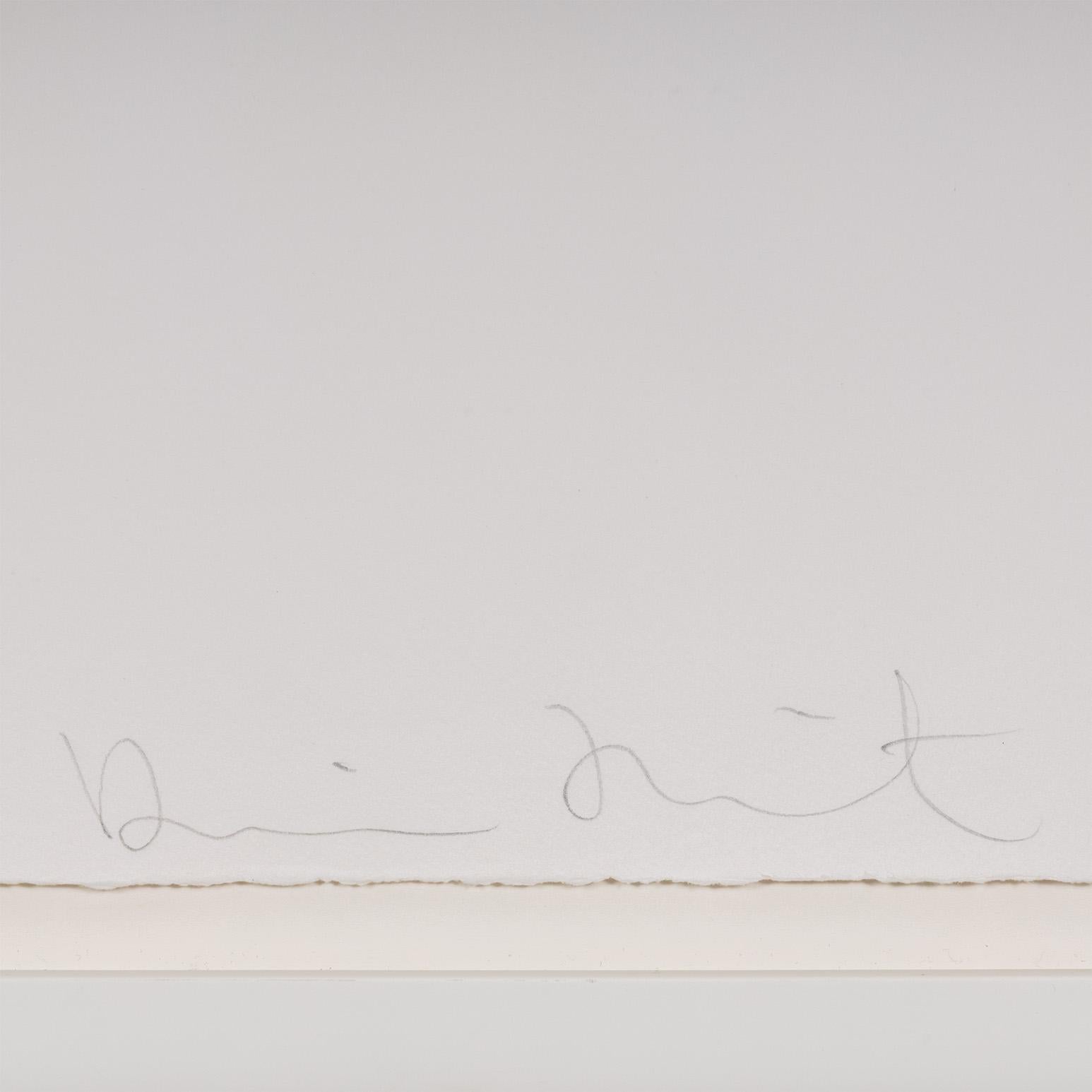 Ring-a-ring of roses - Contemporary Print by Damien Hirst