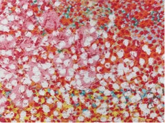 Sans Souci, The Veils Glicée Print on Aluminum, Signed, Edition of 75, 2018