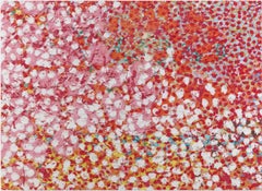 Sans Souci, The Veils Glicée Print on Aluminum, Signed, Edition of 75, 2018