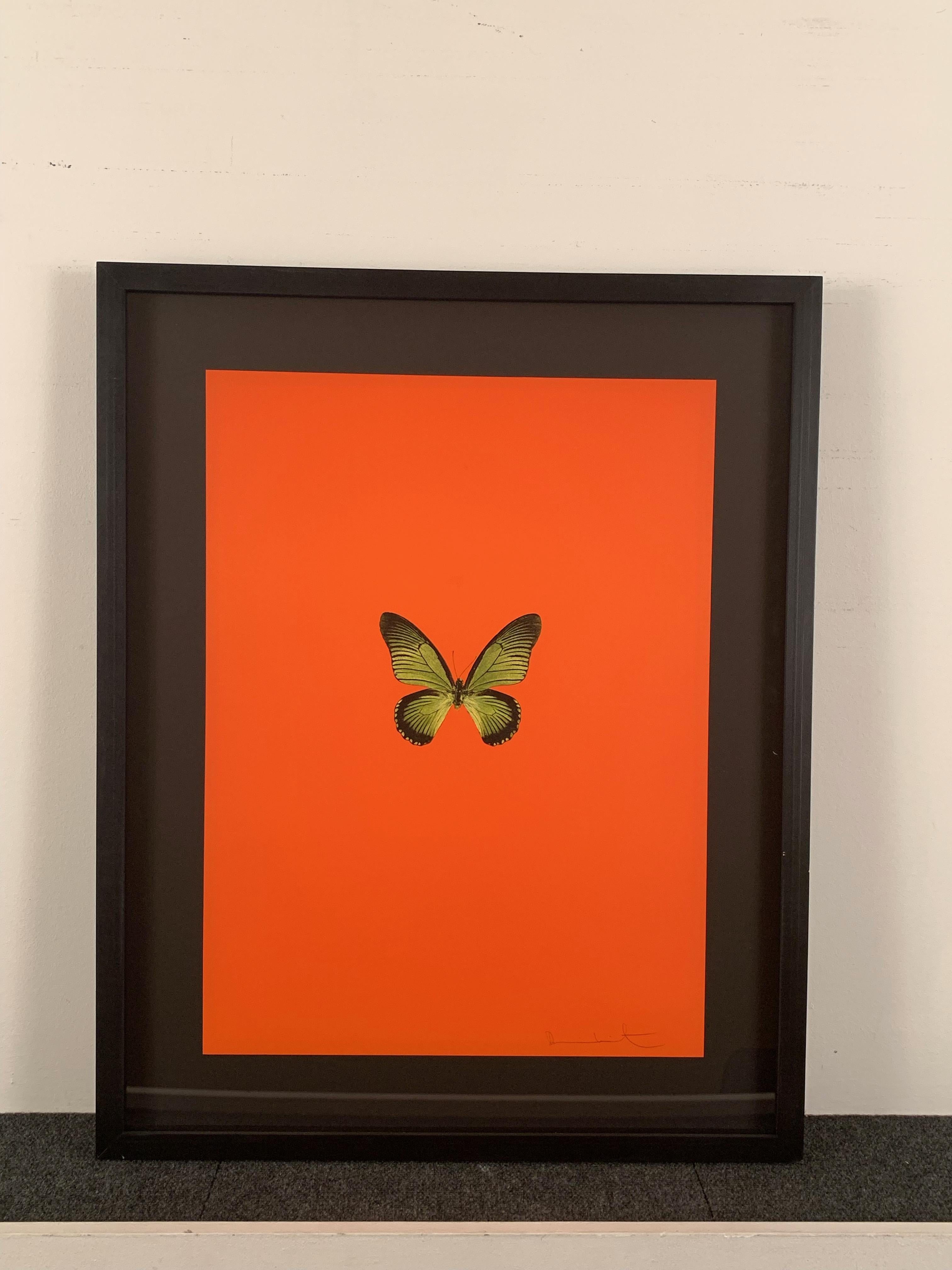 Six Butterflies I - Print by Damien Hirst