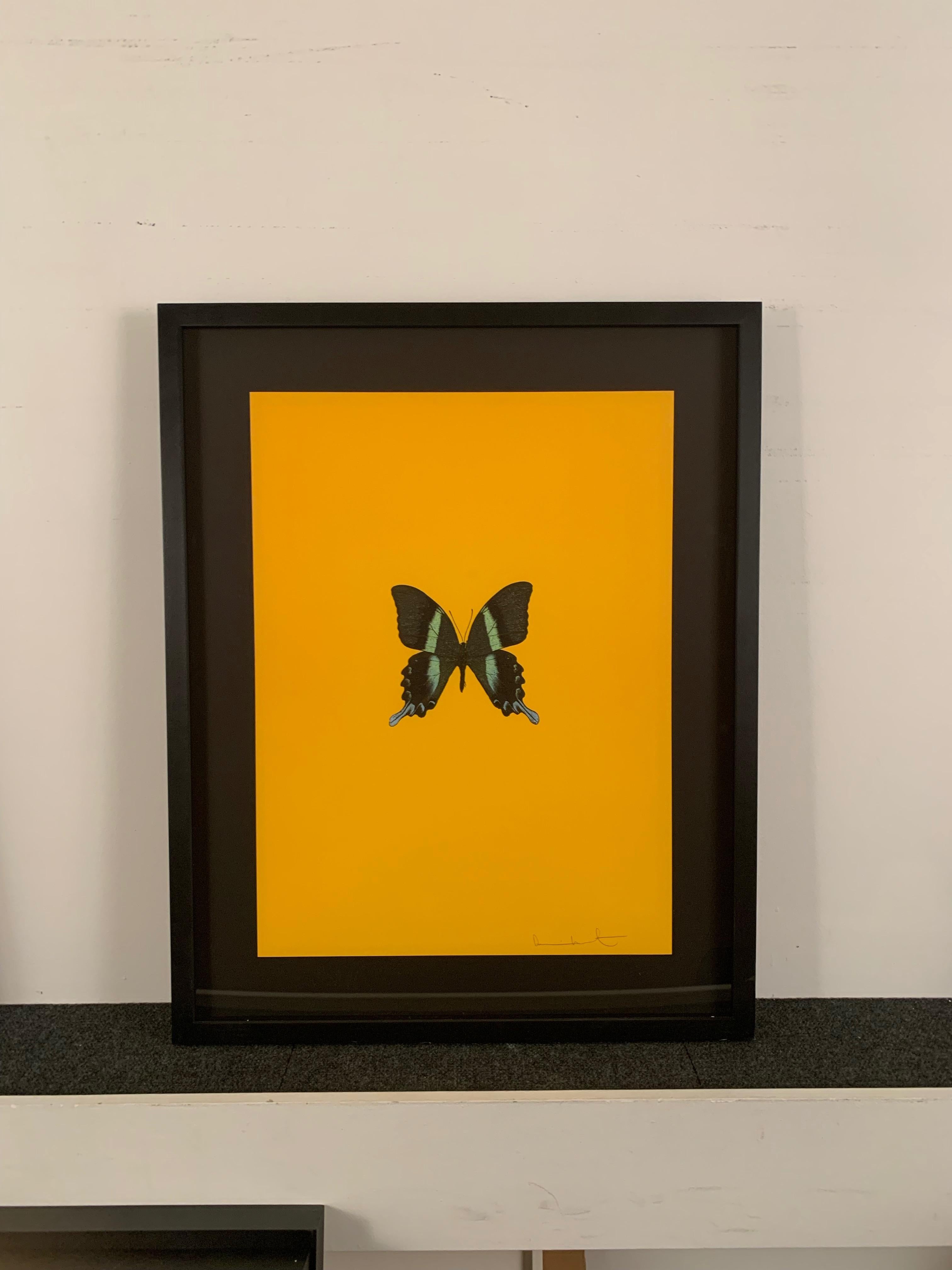 Six Butterflies III - Print by Damien Hirst