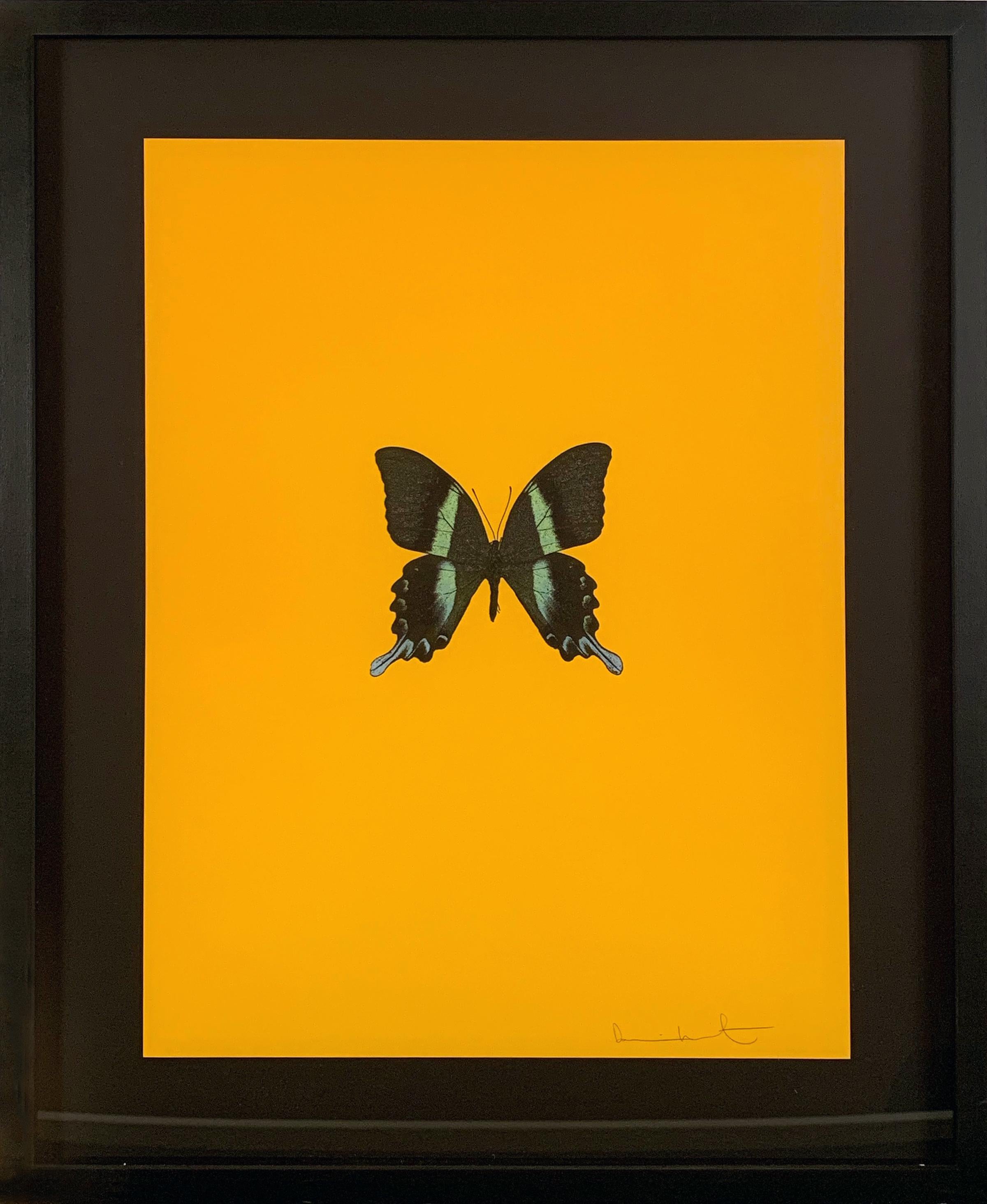 Damien Hirst Animal Print - Six Butterflies III