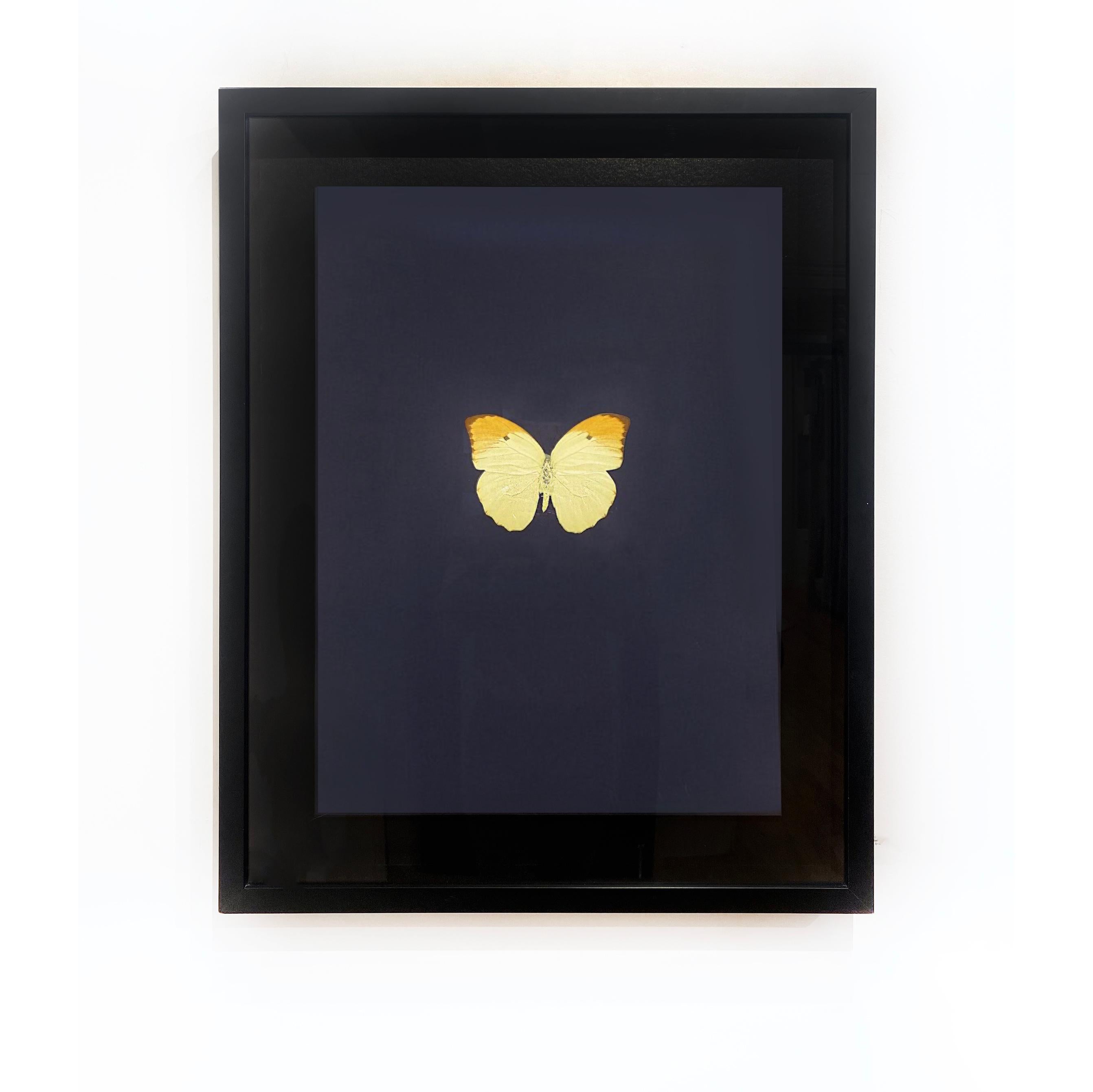Six Butterflies IV - Print by Damien Hirst
