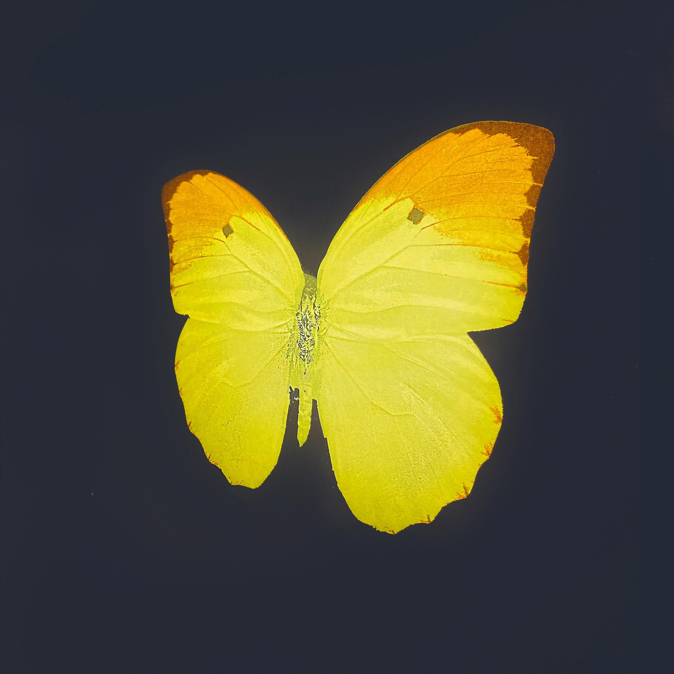 Six Butterflies IV - Young British Artists (YBA) Print by Damien Hirst