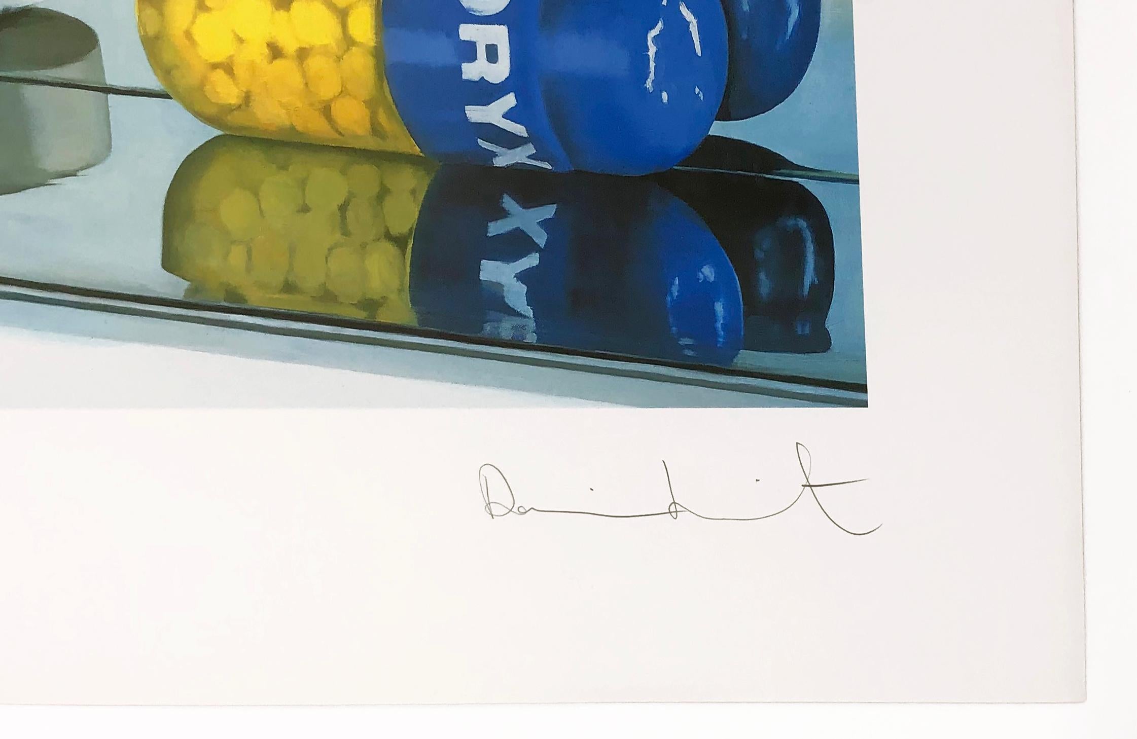 Six Pills (Large), rare framed hand signed print - Print by Damien Hirst