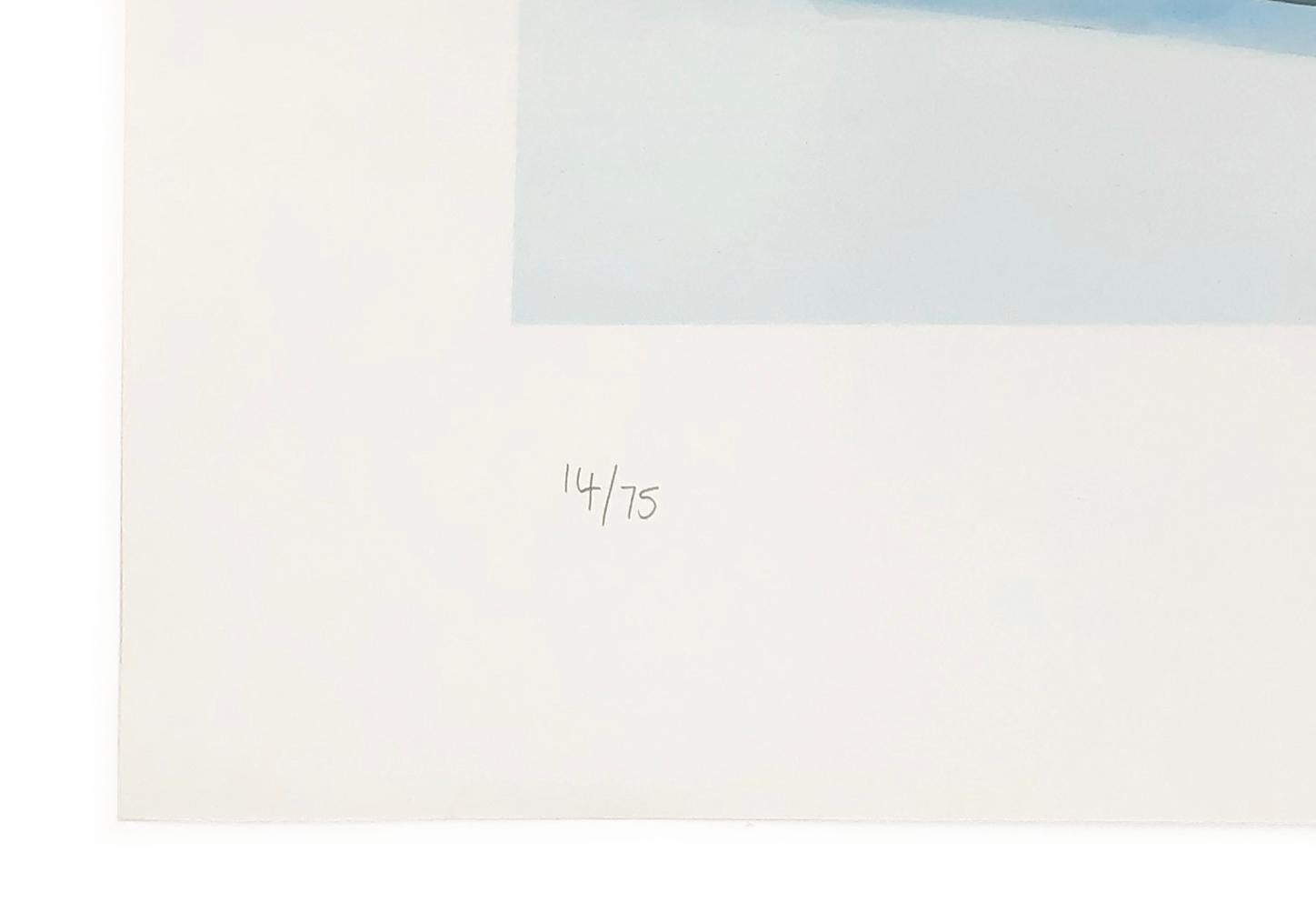 Six Pills (Large), rare framed hand signed print - Pop Art Print by Damien Hirst