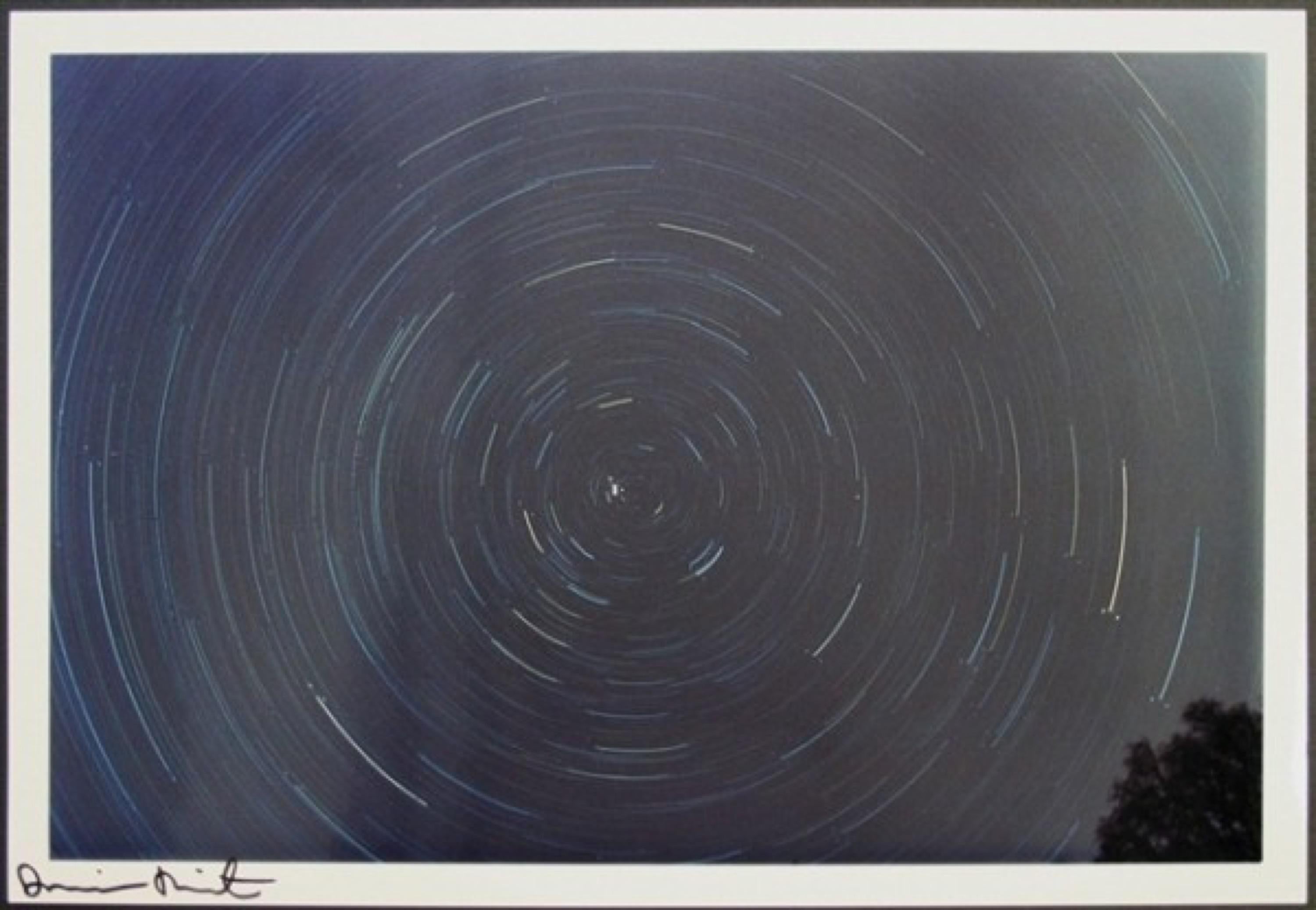 Spin Photo - Photograph de Damien Hirst
