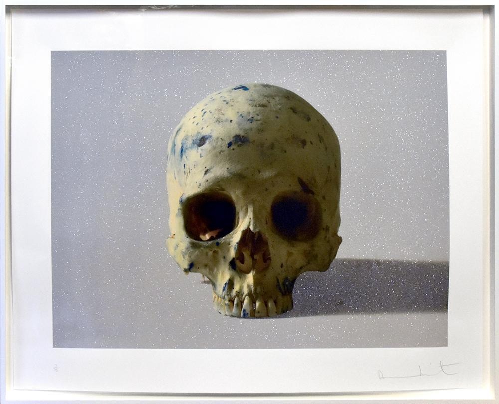 Studio Half Skull, Face On - Print by Damien Hirst