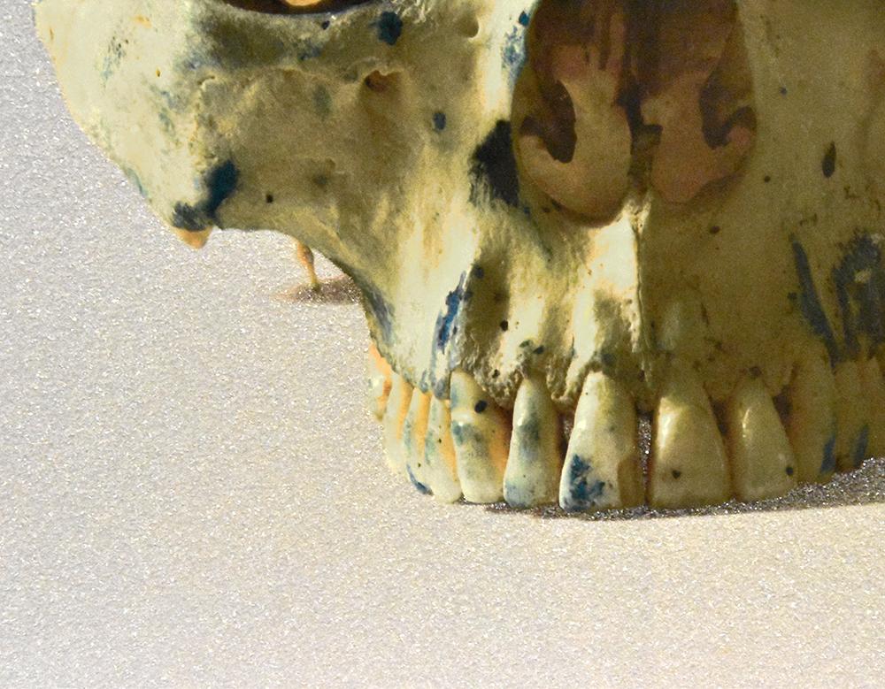 Studio Half Skull, Face On - Contemporary Print by Damien Hirst