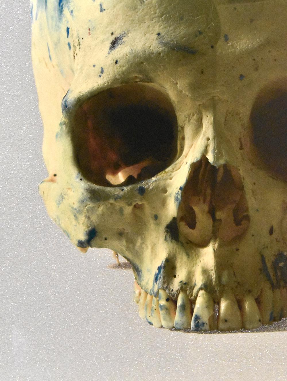 Created in 2009, this color etching and aquatint is hand signed by Damien Hirst (Bristol, 1965-) in pencil on verso and is from the edition of 75.

Catalogue Raisonné & COA:
Damien Hirst Studio Half Skull, Face on, 2009 is fully documented and