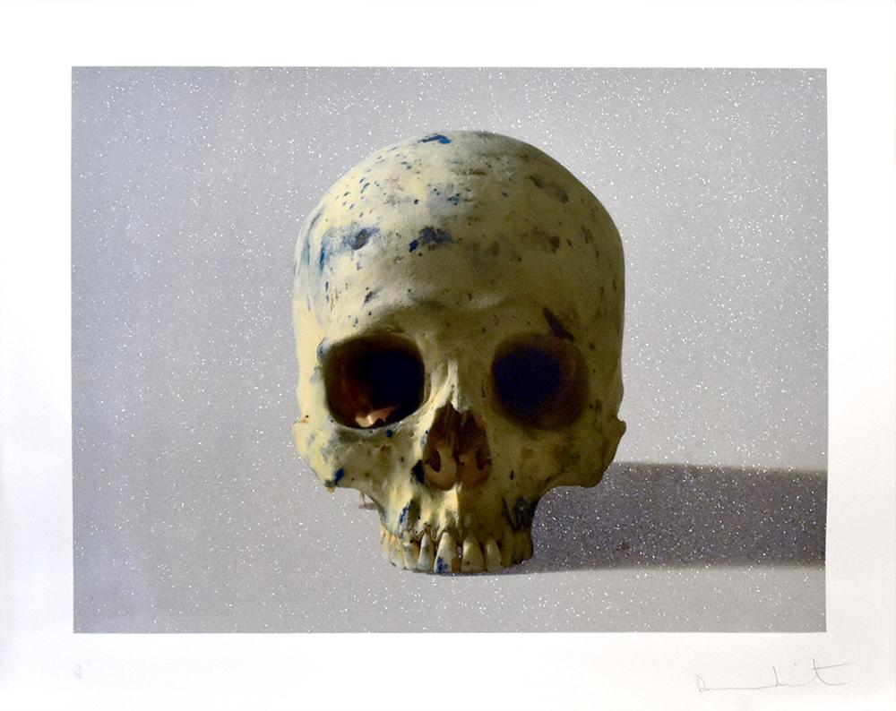 Damien Hirst Figurative Print - Studio Half Skull, Face On