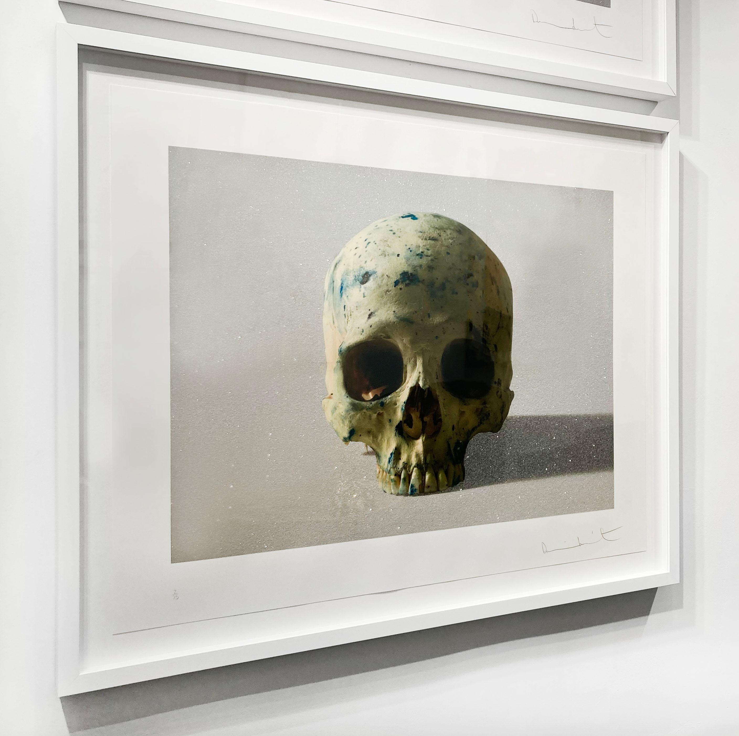 Artist:  Hirst, Damien
Title:  Studio Half Skull, face on (with diamond dust)
Date:  2009
Medium:  Silkscreen with diamond dust on 410gsm Somerset paper 
Unframed Dimensions:  35