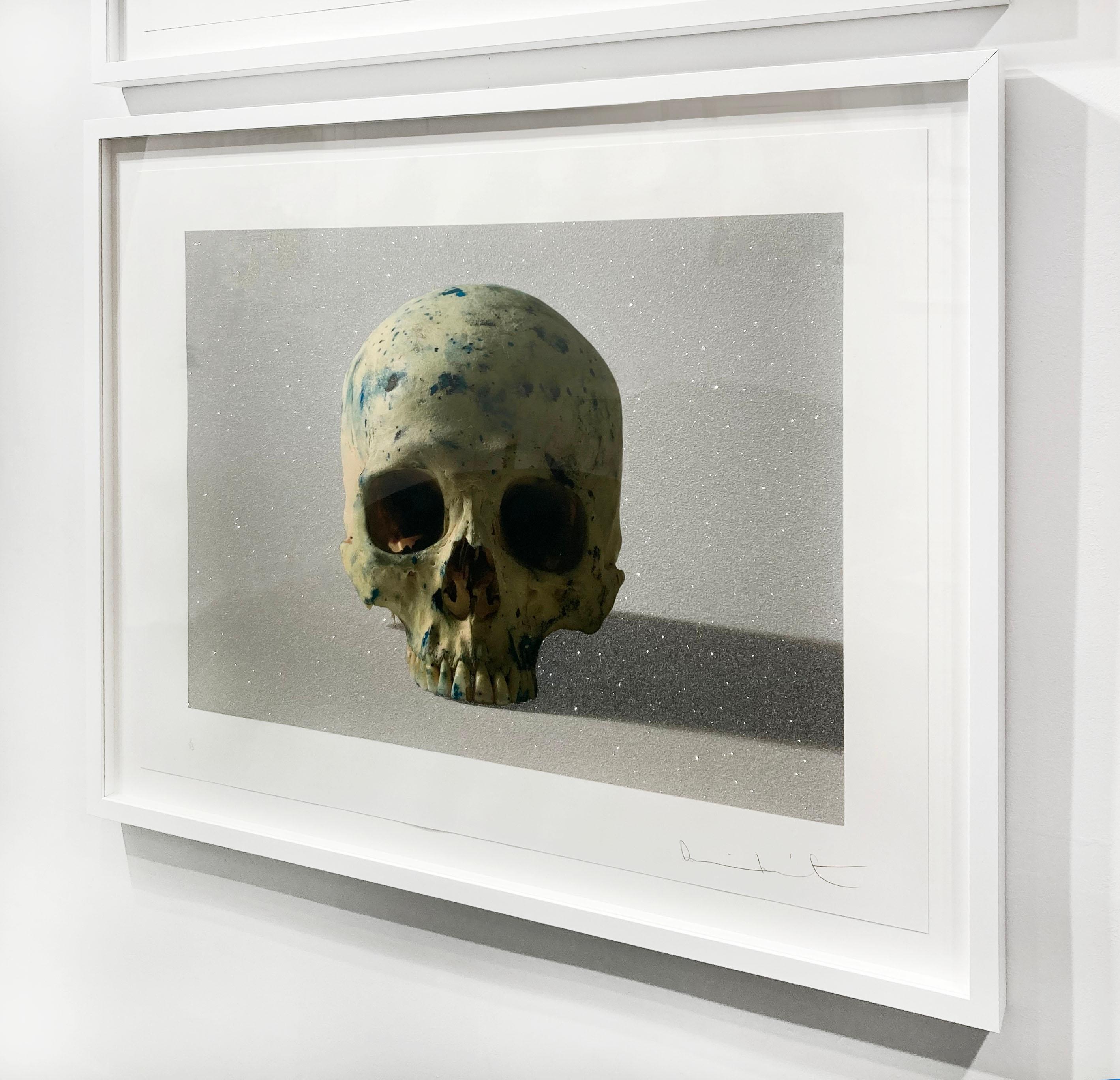 Studio Half Skull, face on (with diamond dust) 1