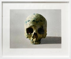 Studio Half Skull, face on (with diamond dust)