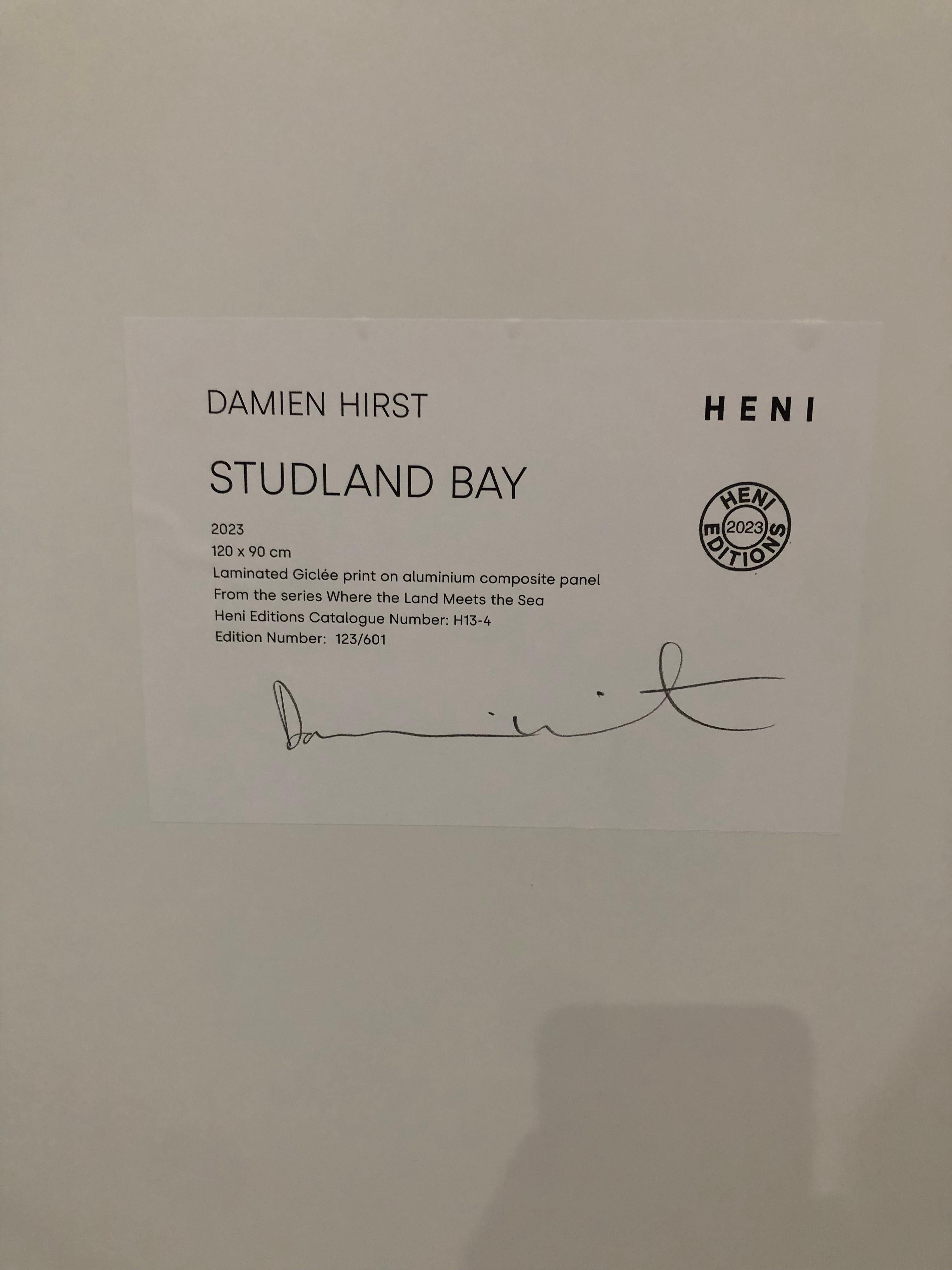 Bahía de Studland - Print Contemporáneo de Damien Hirst