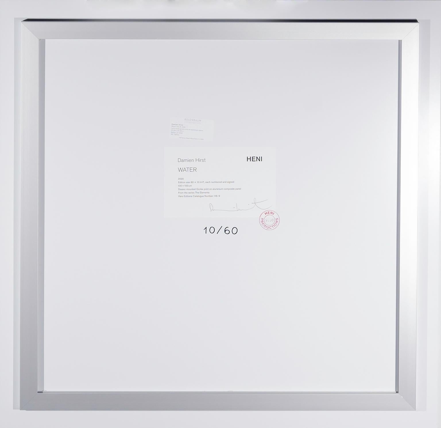 damien hirst h6-9 elements air