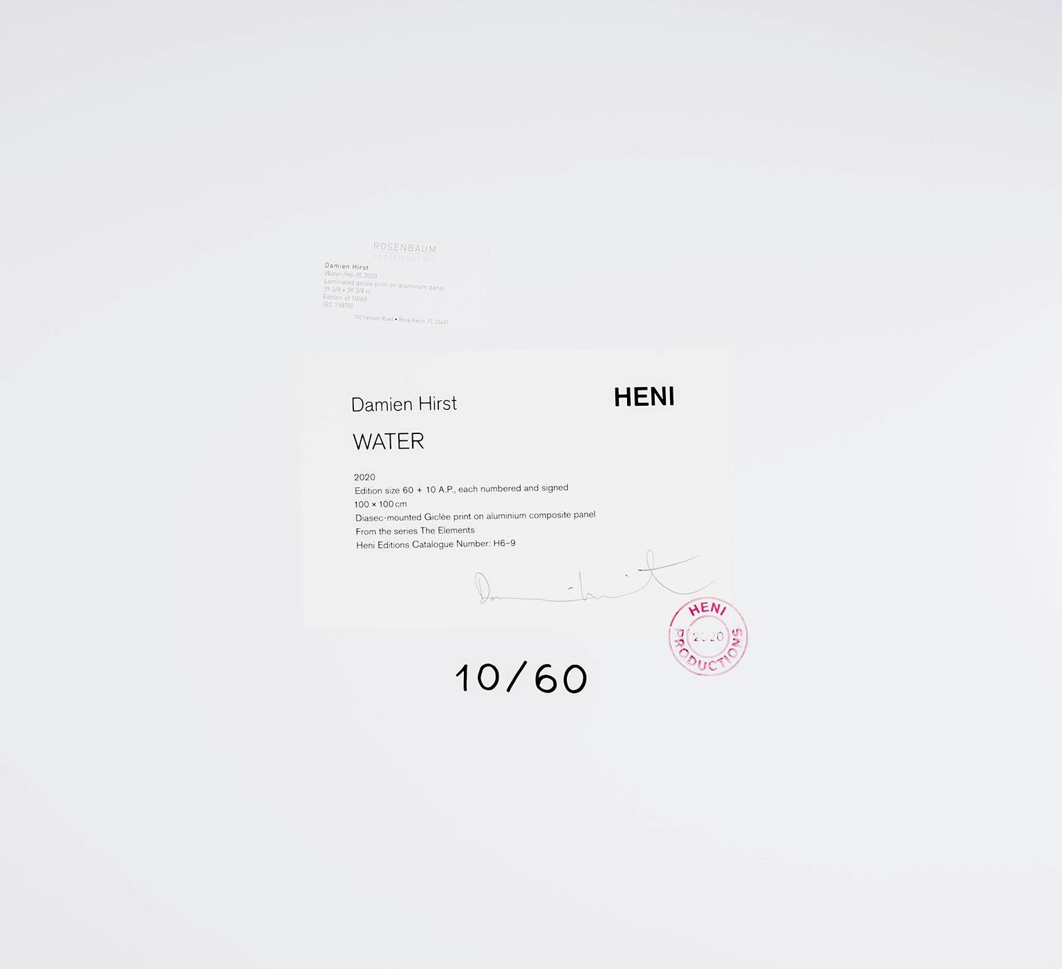 damien hirst h6-9 water