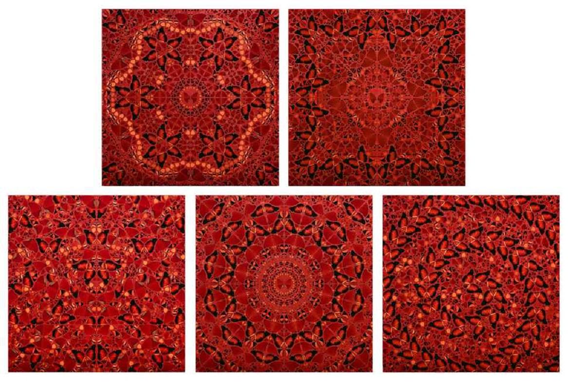 The Empresses (Set of 5) by Damien Hirst (B. 1965 - )

Laminated Giclée print on aluminium composite, screen printed with glitter
Signed on the reverse
100 x 100 x 2 cm (39 ³/₈ x 39 ³/₈ x 0 ³/₄ inches)
2022

Artist's Biography
Damien Hirst was born