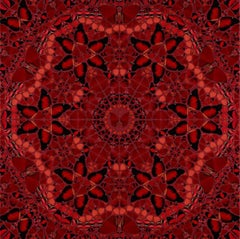 Le imperatrici (Wu Zetian H10-1)