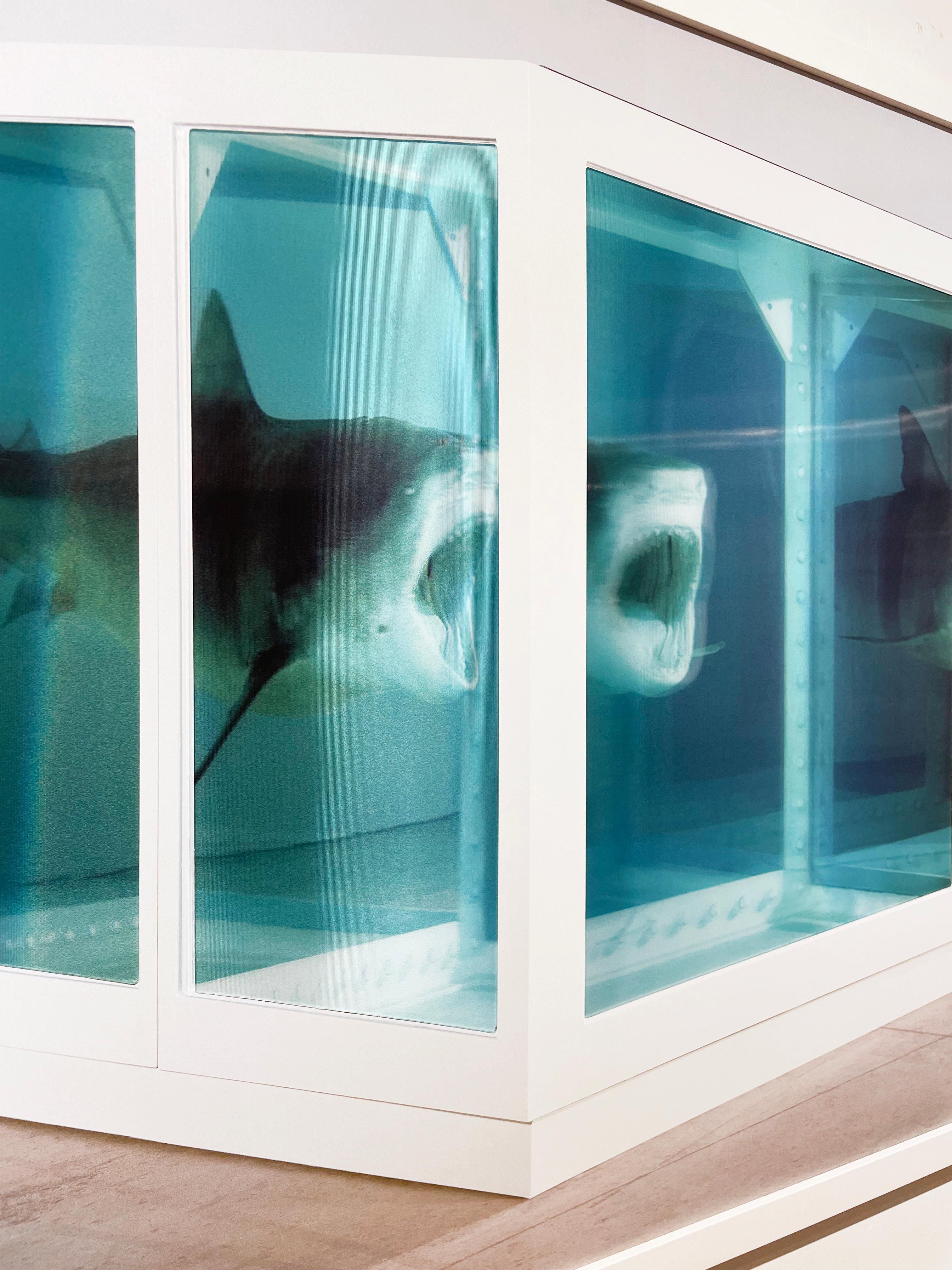 Artista:  Hirst, Damien
Titolo:  L'impossibilità fisica della morte nella mente di un vivente 
Data:  2013
Media:  Stampa 3D su polimero
Non incorniciato Dimensioni:  31.50