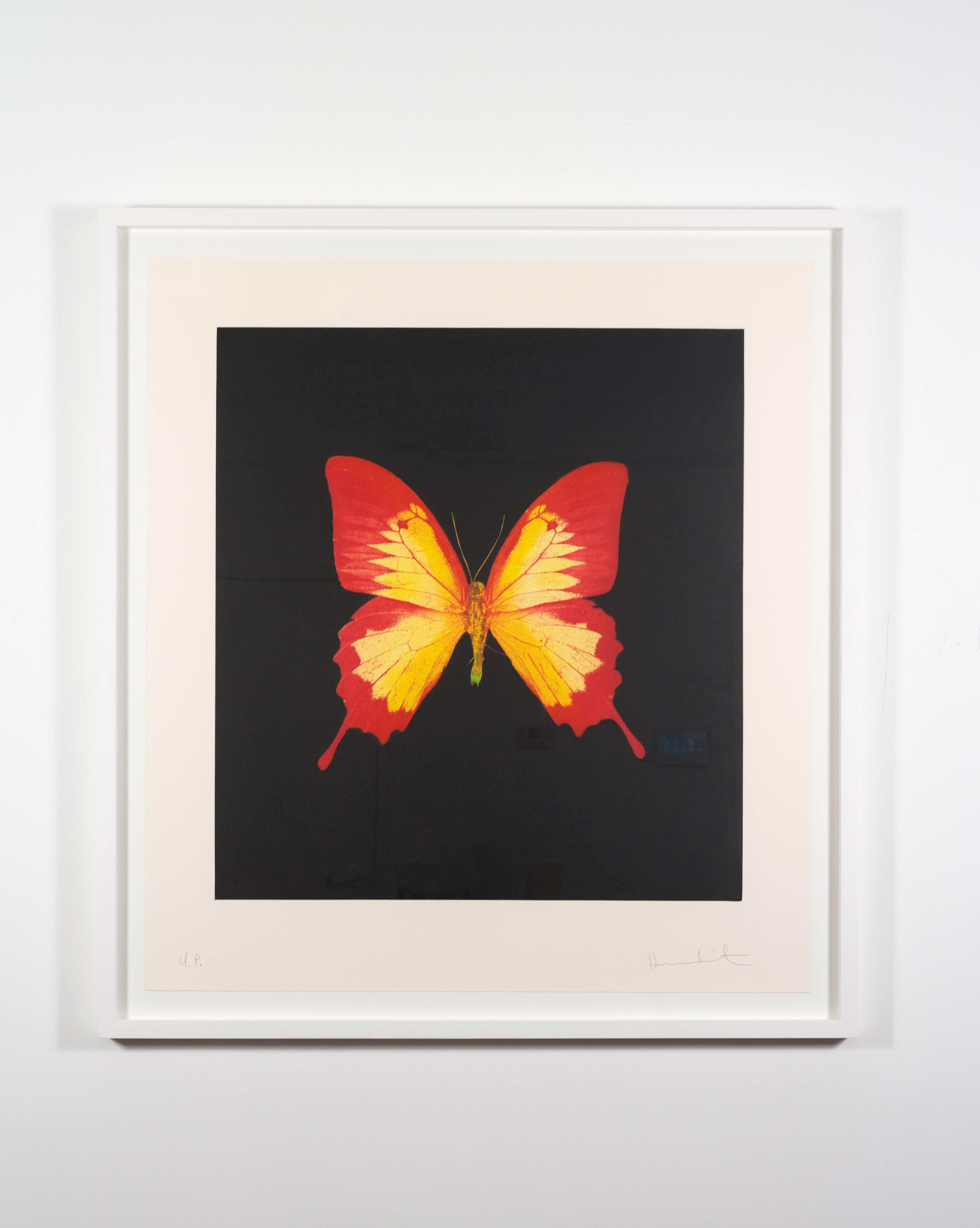 The Souls on Jacob’s Ladder Take Their Flight (U.P.) - Contemporary Print by Damien Hirst