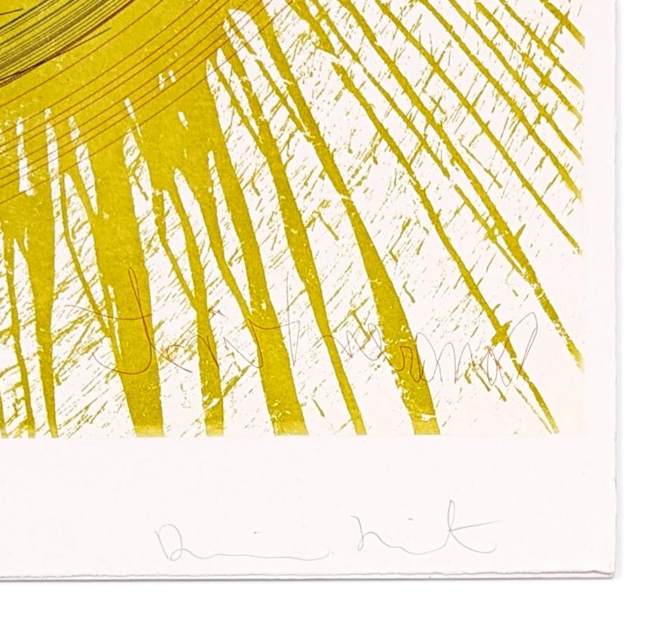 Throw it Around (Large Framed Etching) - Print by Damien Hirst