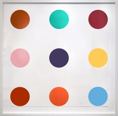 Young British Artists (YBA) Prints and Multiples