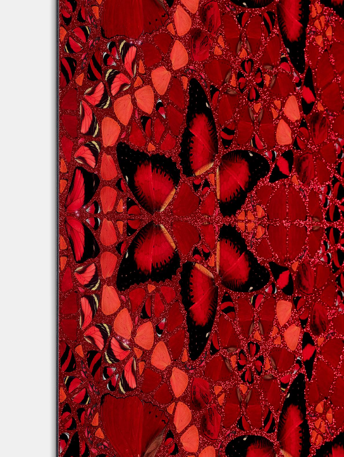 “The Empresses” is a series of five glorious artworks named after influential female rulers. They are composed of butterfly wings placed on a flaming red background which create a kaleidoscope effect.

Wu Zetian (The Empresses, H10-01), 2022
Edition