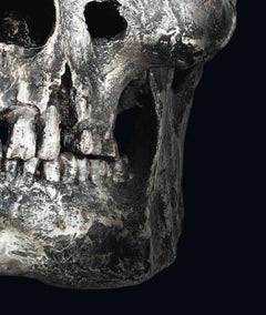 Damien Hirst - Abacus, hirst, teschio, argento, scultura, arte contemporanea