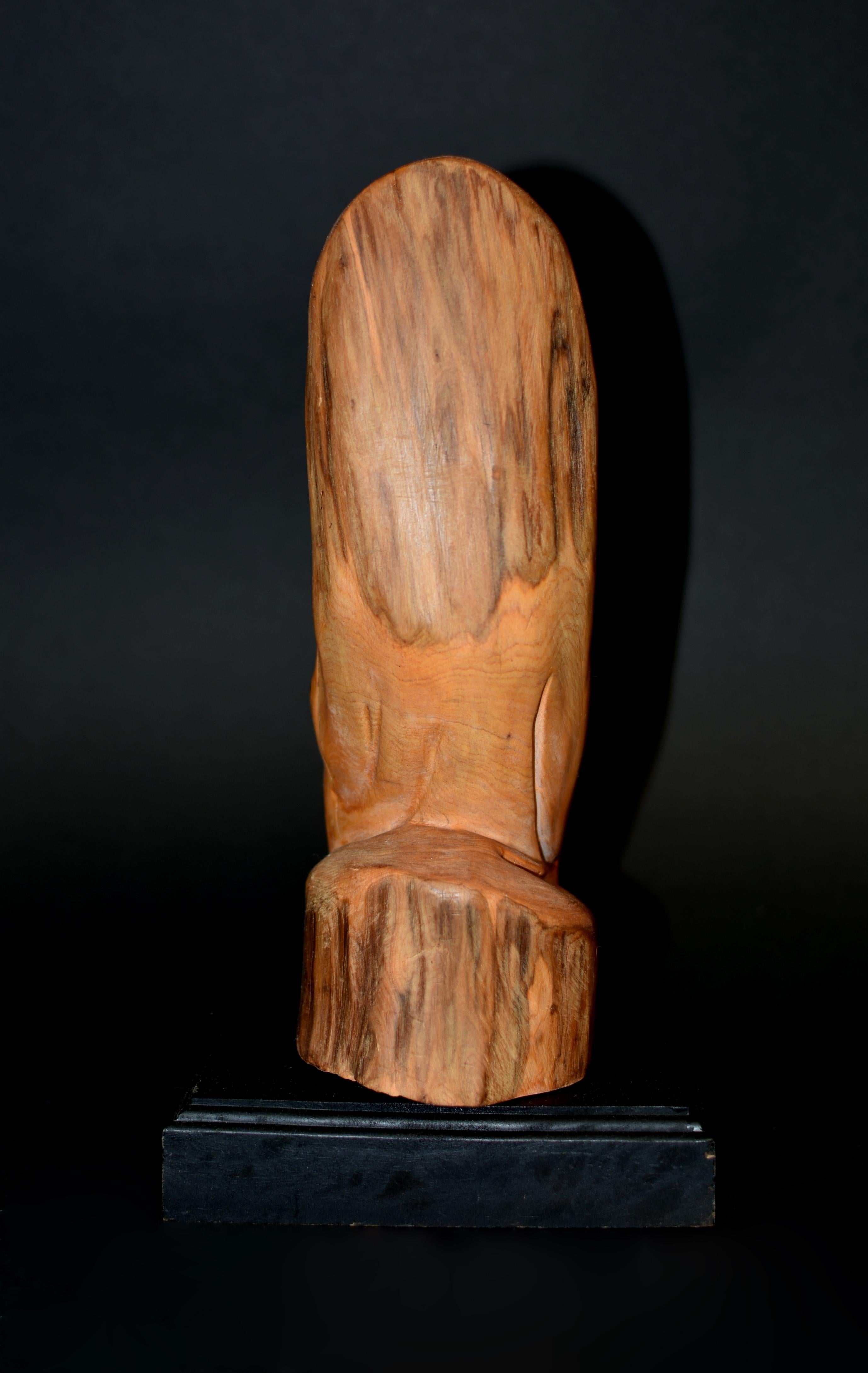 Damo Bodhidharma Monk Carved Camphor Wood Statue For Sale 2