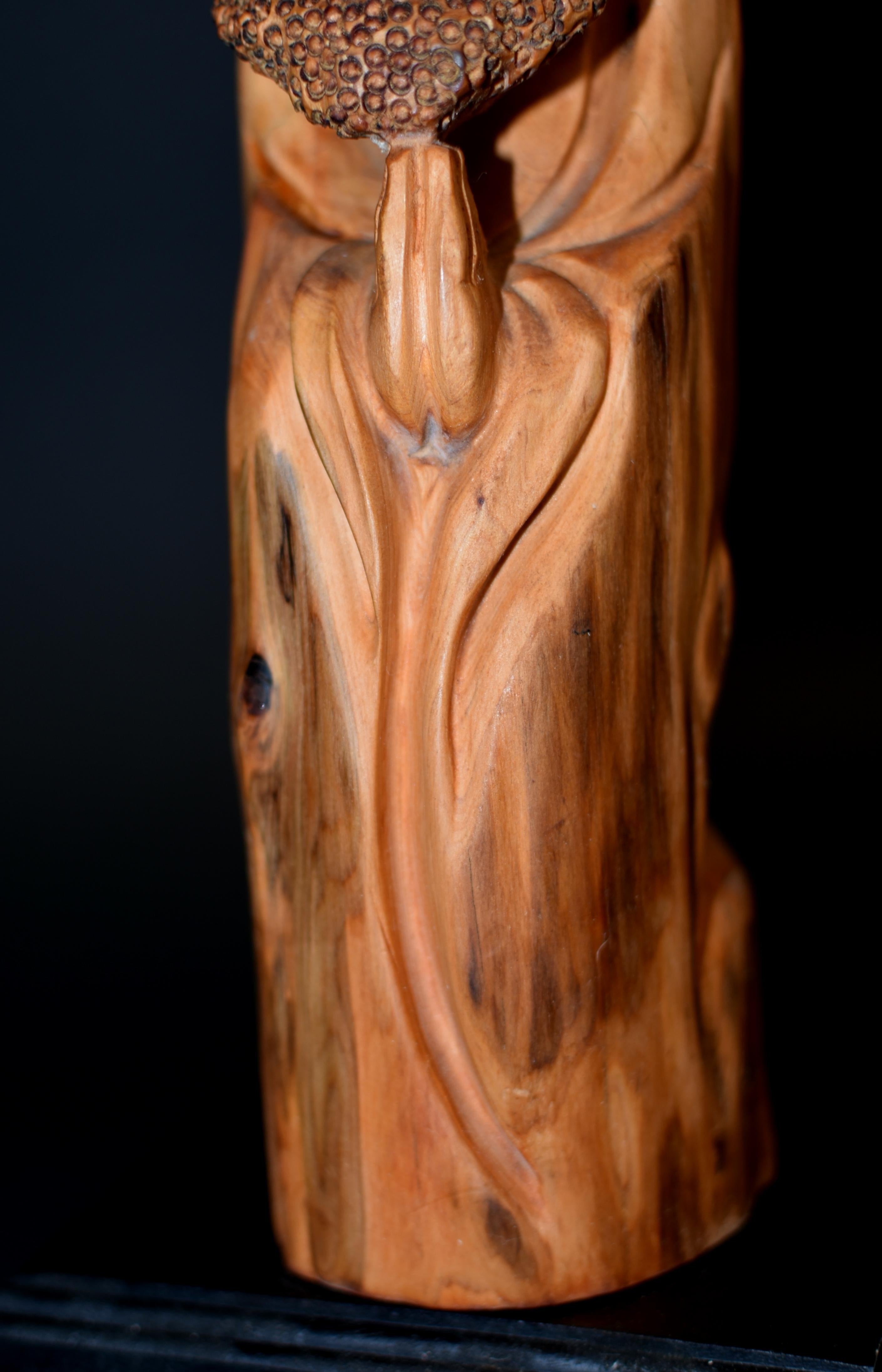 Damo Bodhidharma Monk Carved Camphor Wood Statue In Good Condition For Sale In Somis, CA