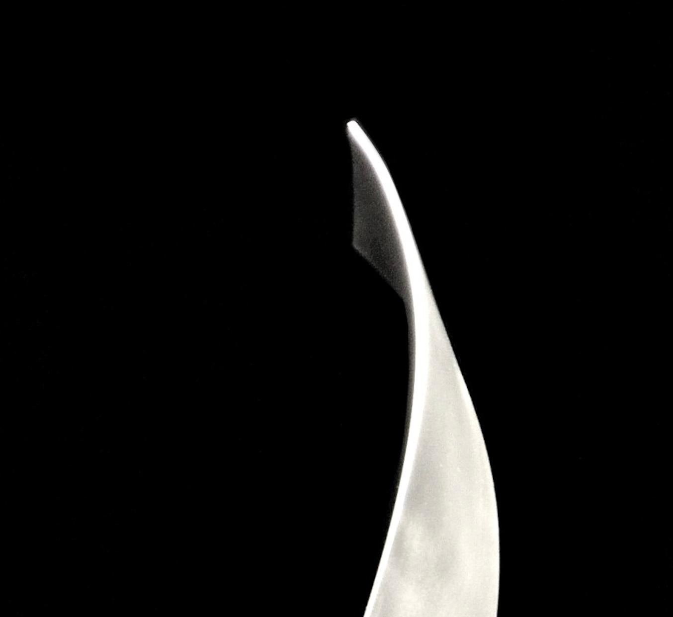 Knot #76 9/12 - Sculpture by Damon Hyldreth