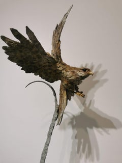 Merlin Approach an original Bronze sculpture