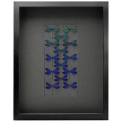 Damselfly Wash on Graphite Damselfly Wash on Graphite