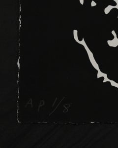 Dan Baldwin, Imaginäres Paradies AP