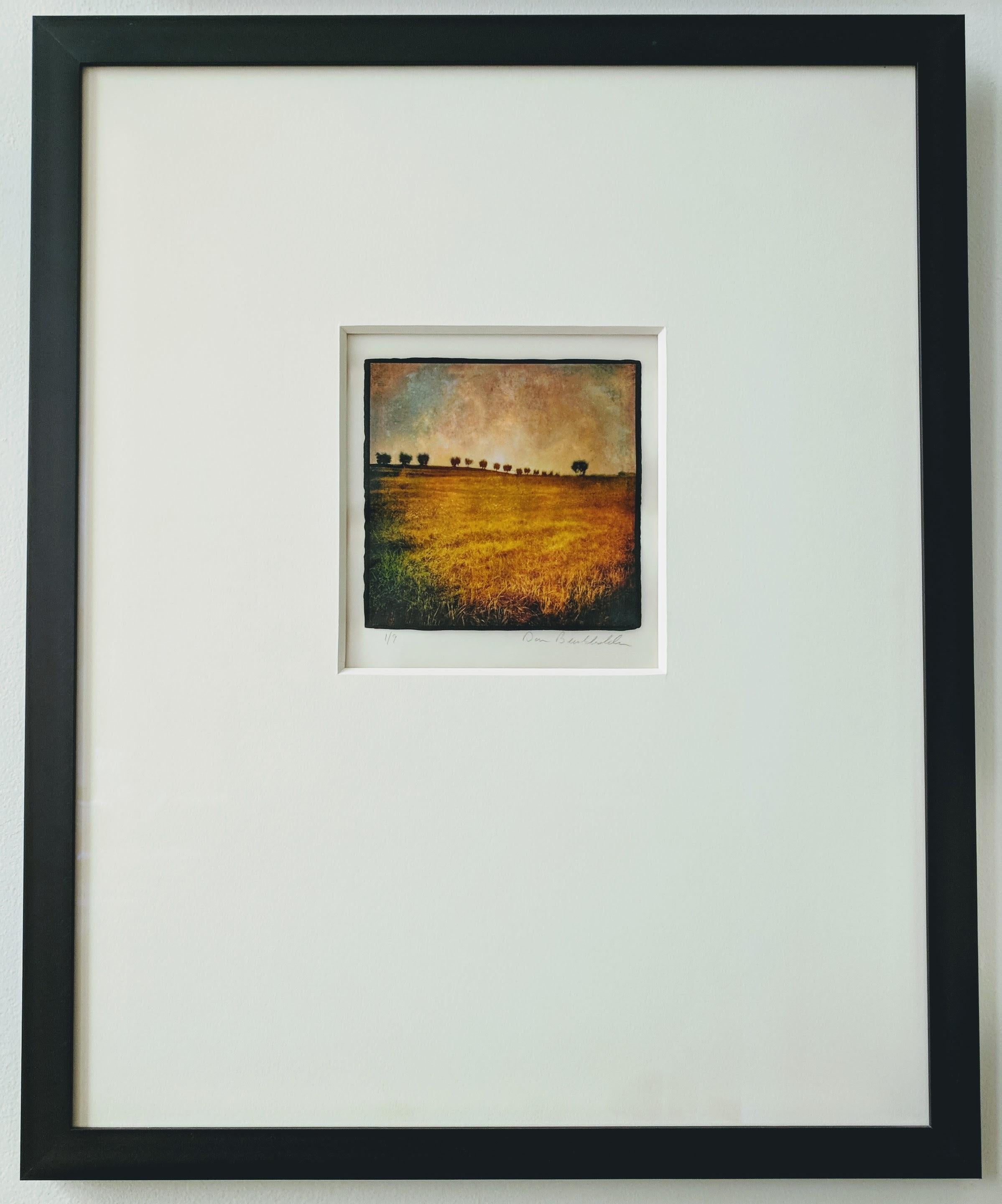 Dan Burkholder Landscape Photograph - Fine Art Photography -- Trees above Golden Field, Tuscany