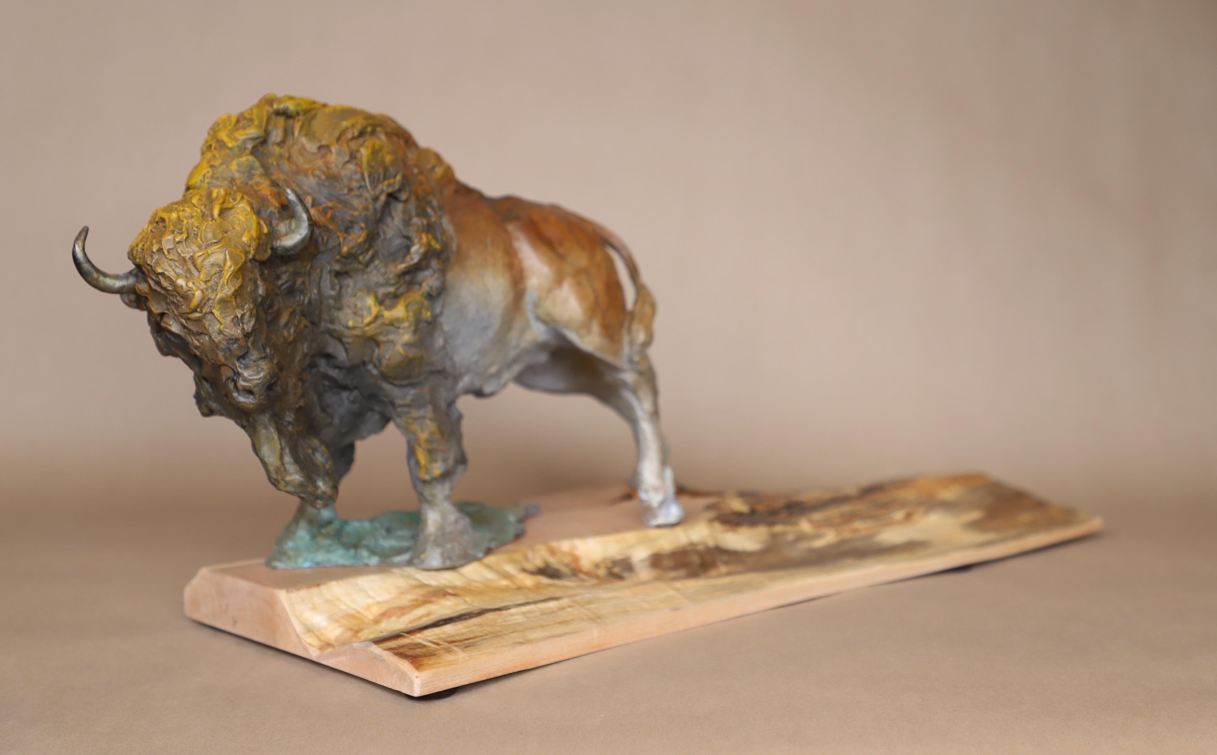 Präriewachtel (Realismus), Sculpture, von Dan Chen