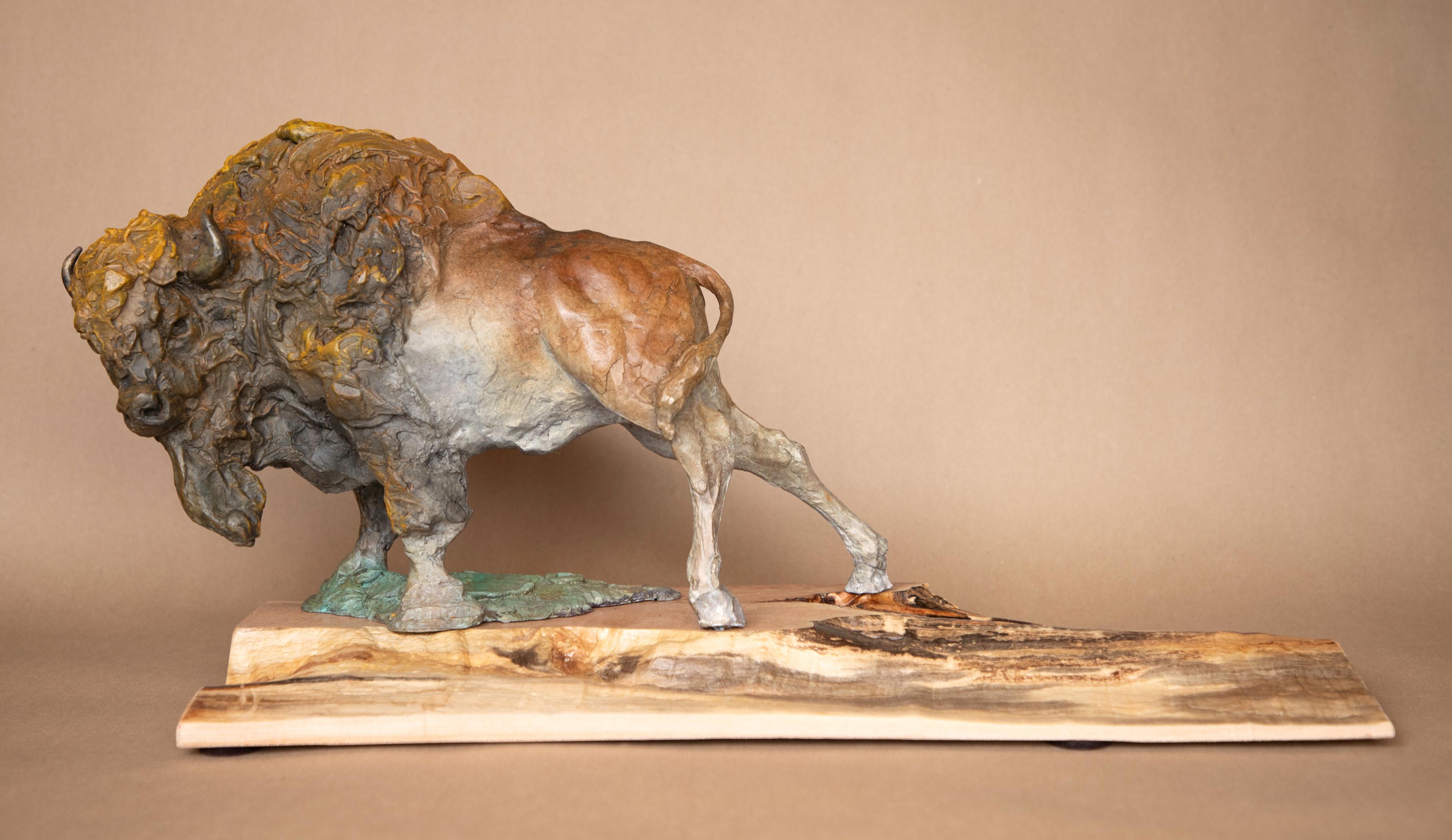 Präriewachtel – Sculpture von Dan Chen