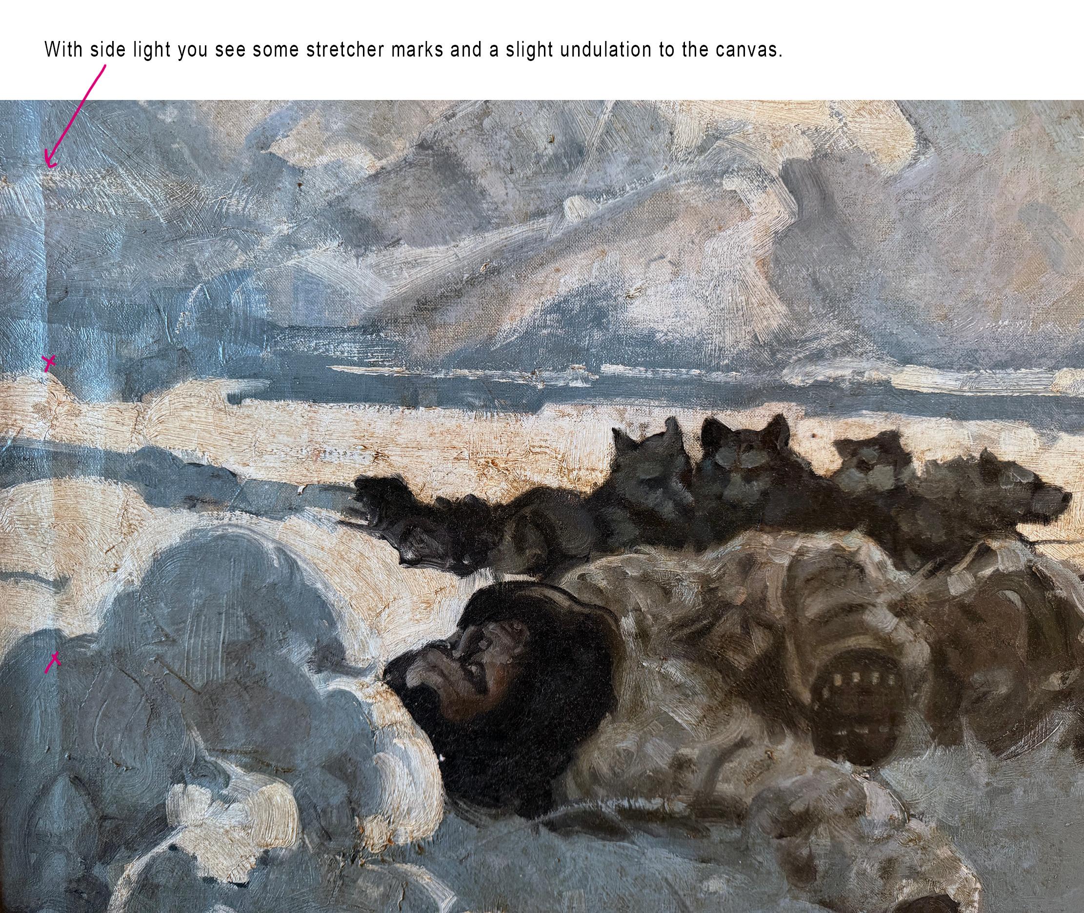 Cani Alaskan Husky  - L'urlo del Malamute - Storia d'avventura per uomini in vendita 6